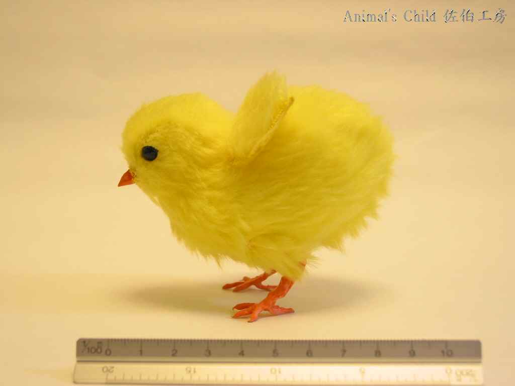 ひよこ001