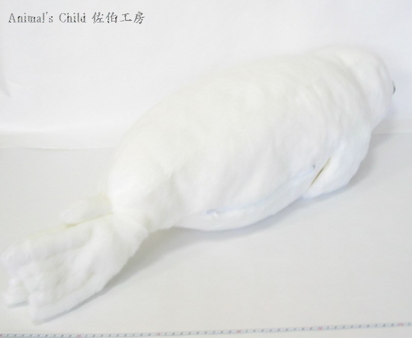 あざらし(睡眠型)005
