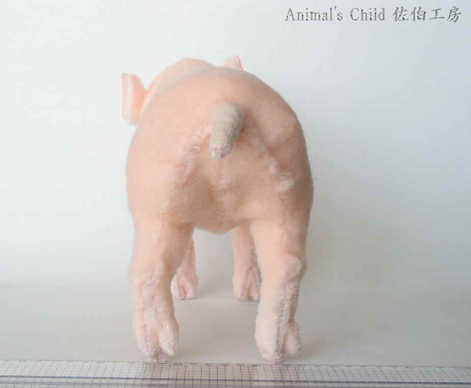 豚桃003