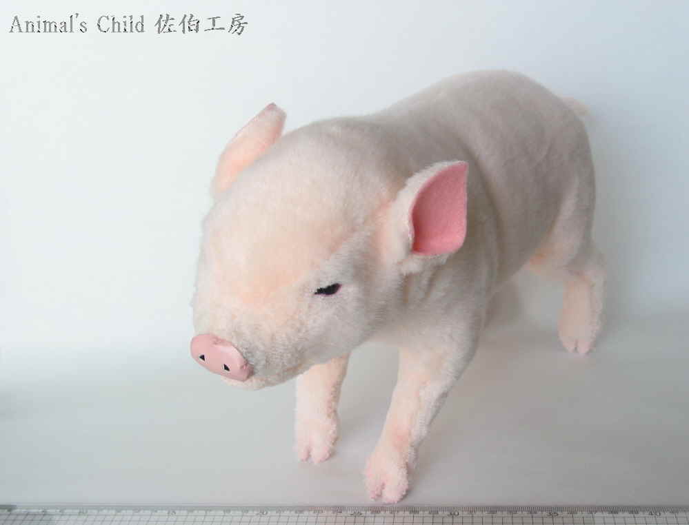 豚 桃色