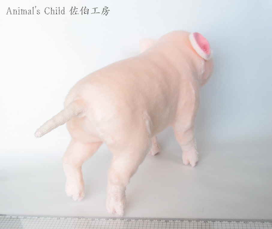 豚桃005
