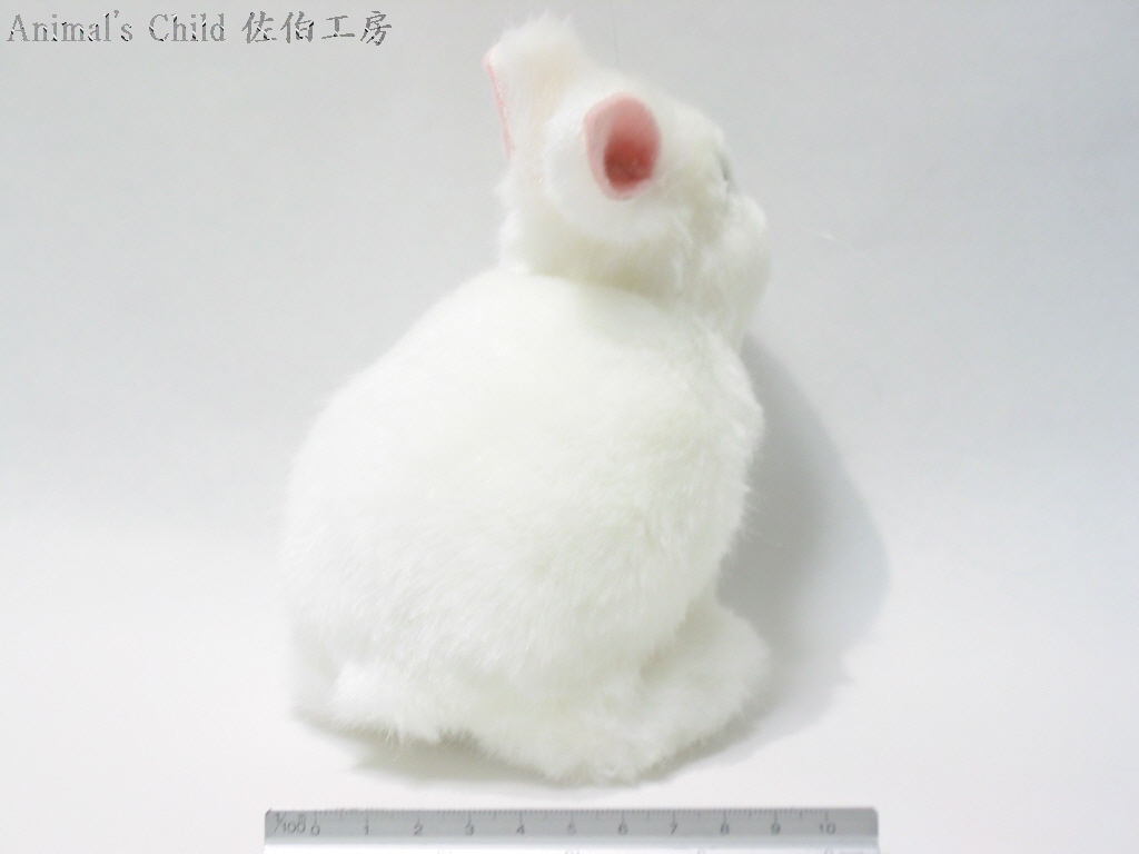 うさぎ白005
