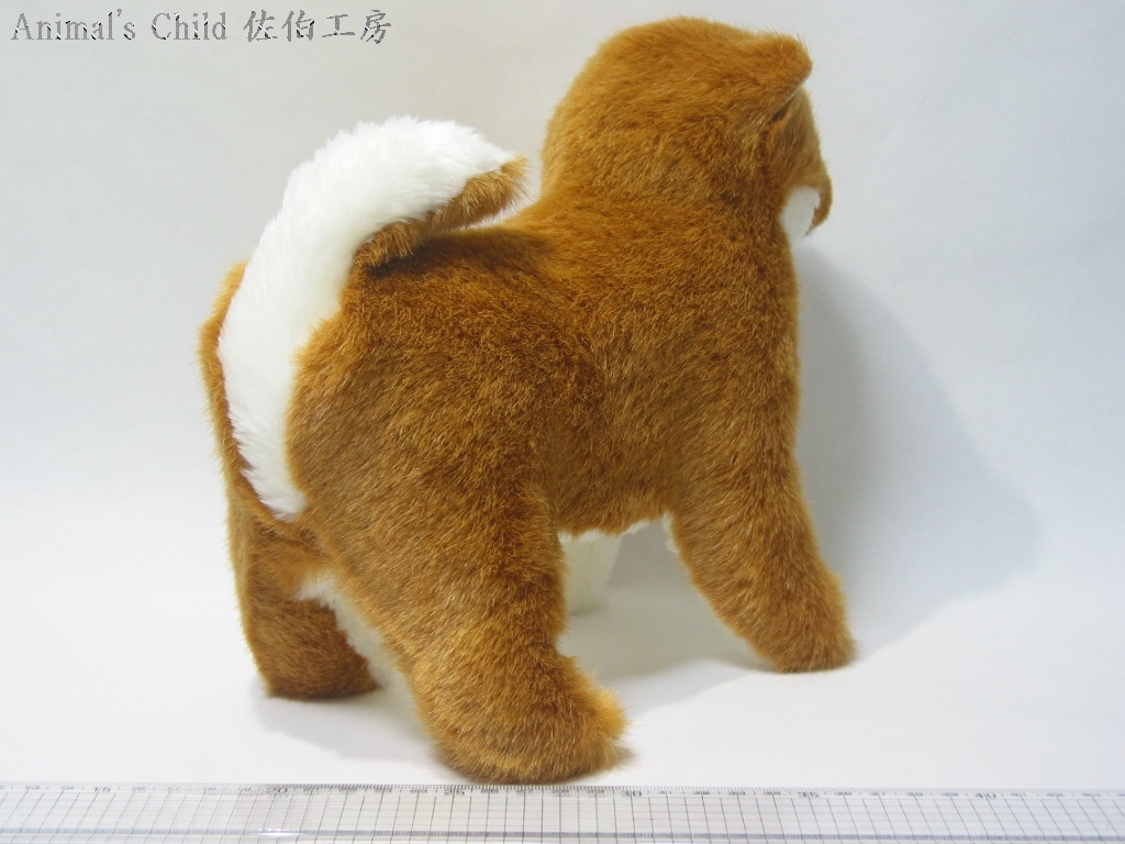 柴犬茶005